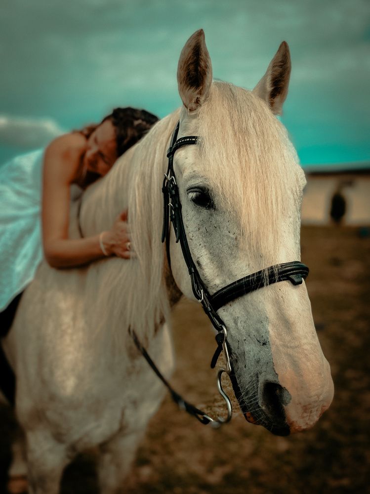 Photograph by Юлия Пыльцева