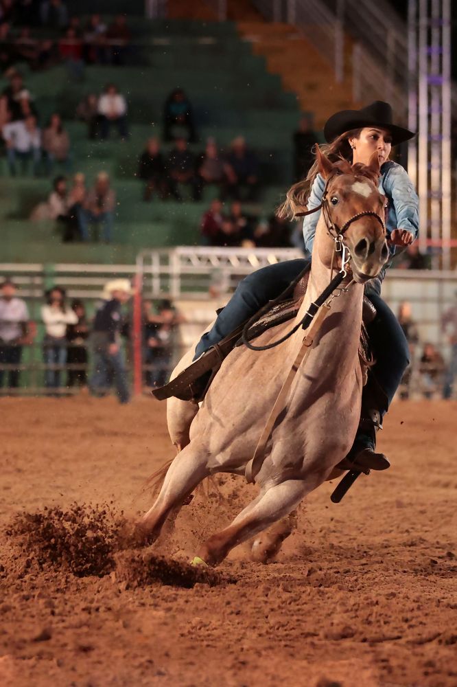 Фотография автора Ricardo Q T Rodrigues