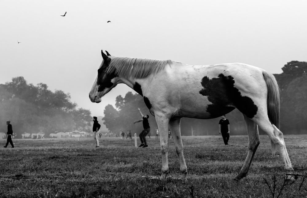 Photograph by SHRINJOY MAITI