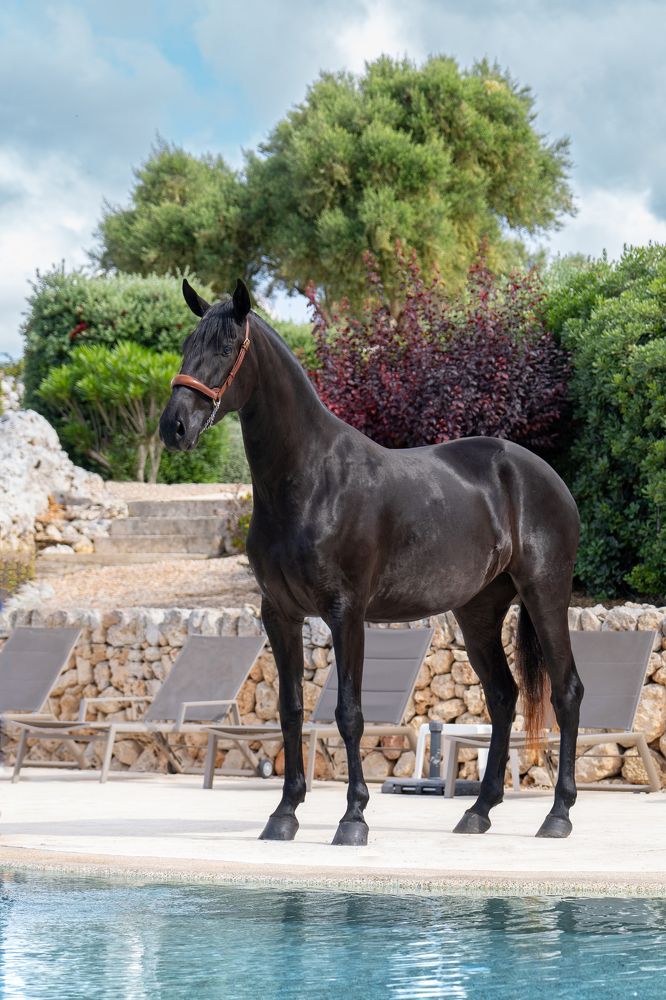 Photograph by Katerina Pustoshnaia