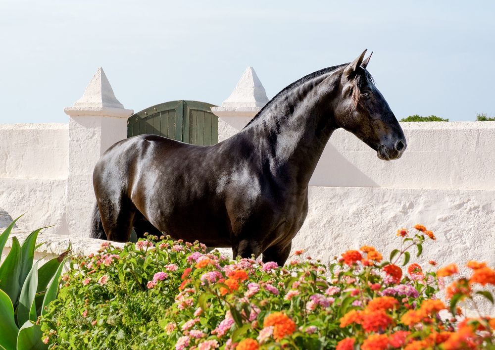 Photograph by Katerina Pustoshnaia