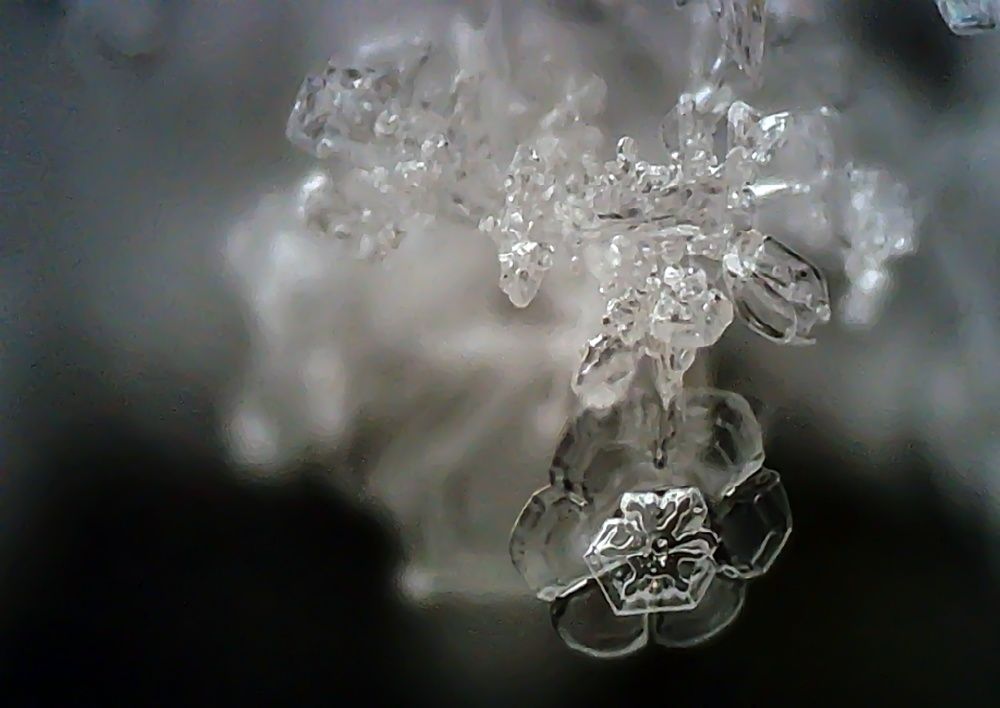 Photograph by Анна Шекурова