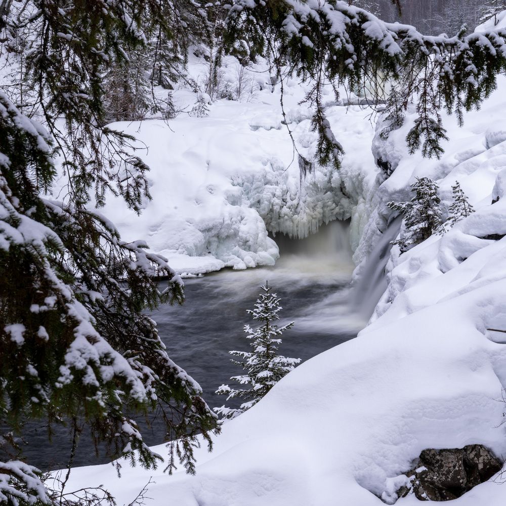 Photograph by Алена Устинович