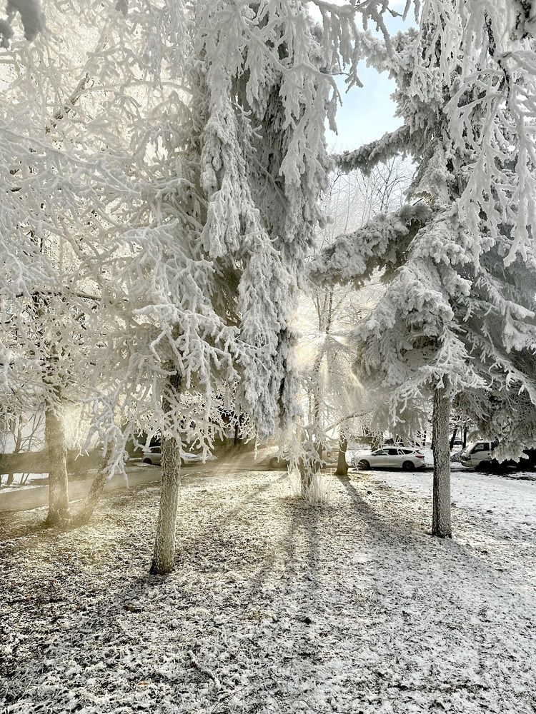 Photograph by Svetlana Rashidova