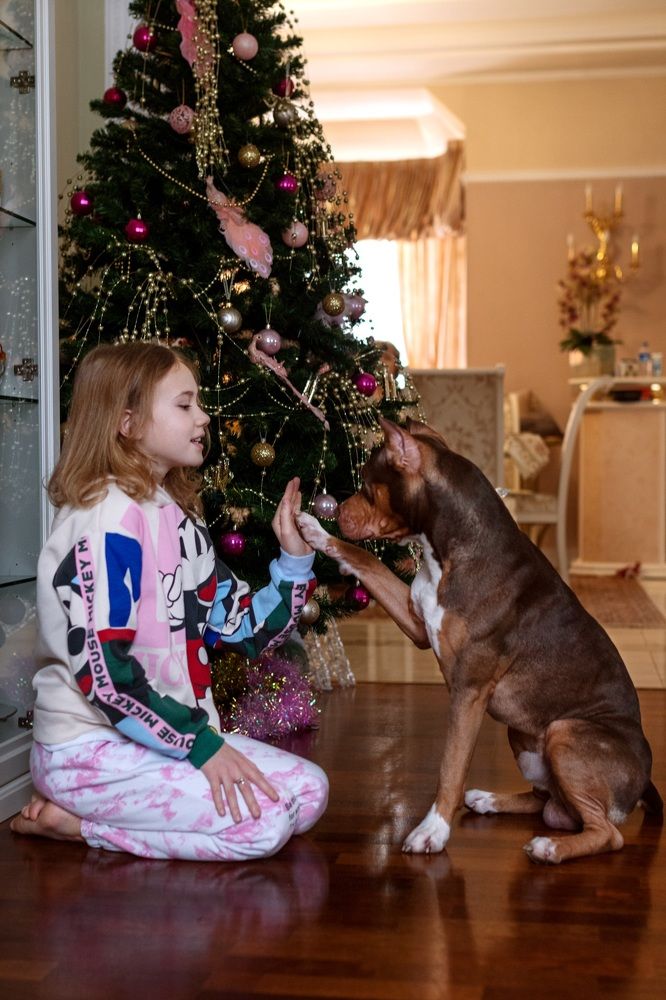 Photograph by Наталья Носова (Кучеренко)