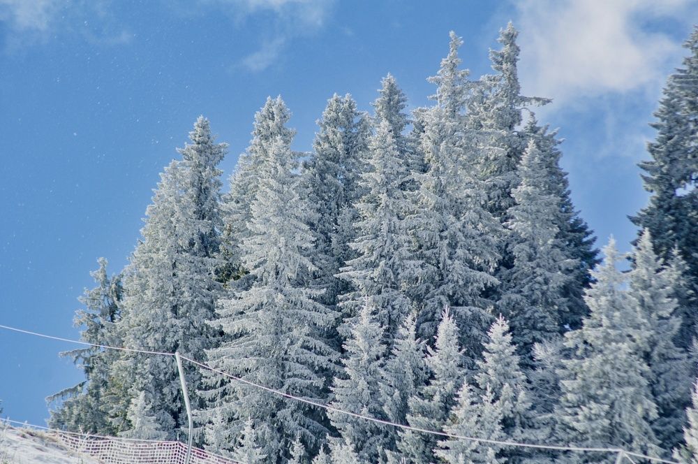 Photograph by Stoyan Baev