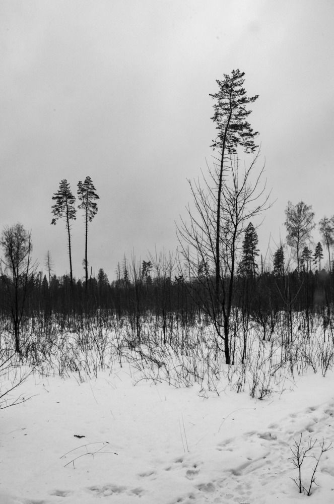 Photograph by Юлия Олейник