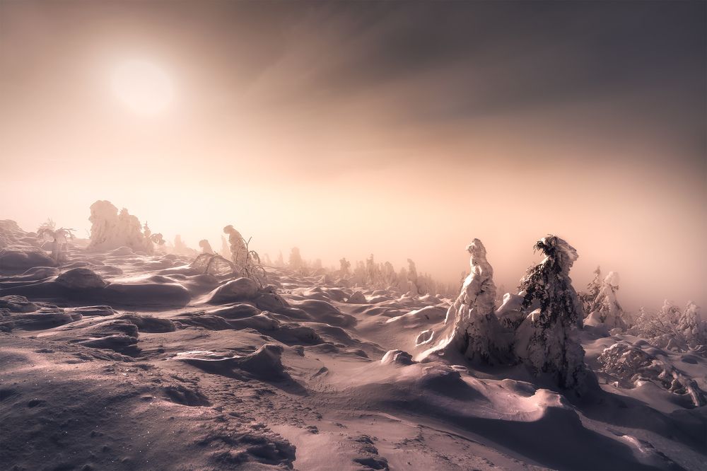 Фотография автора Peter Dužek