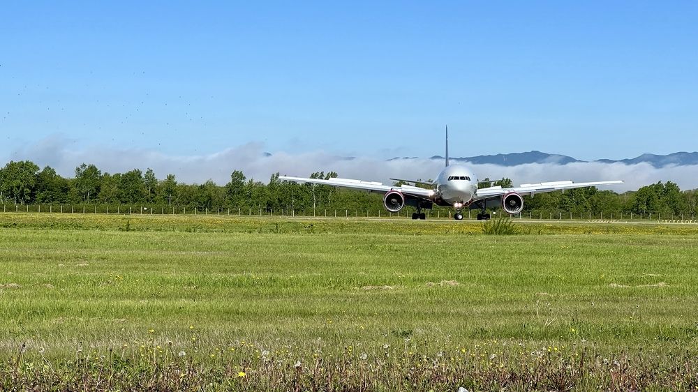 Photograph by Татьяна Петросьян