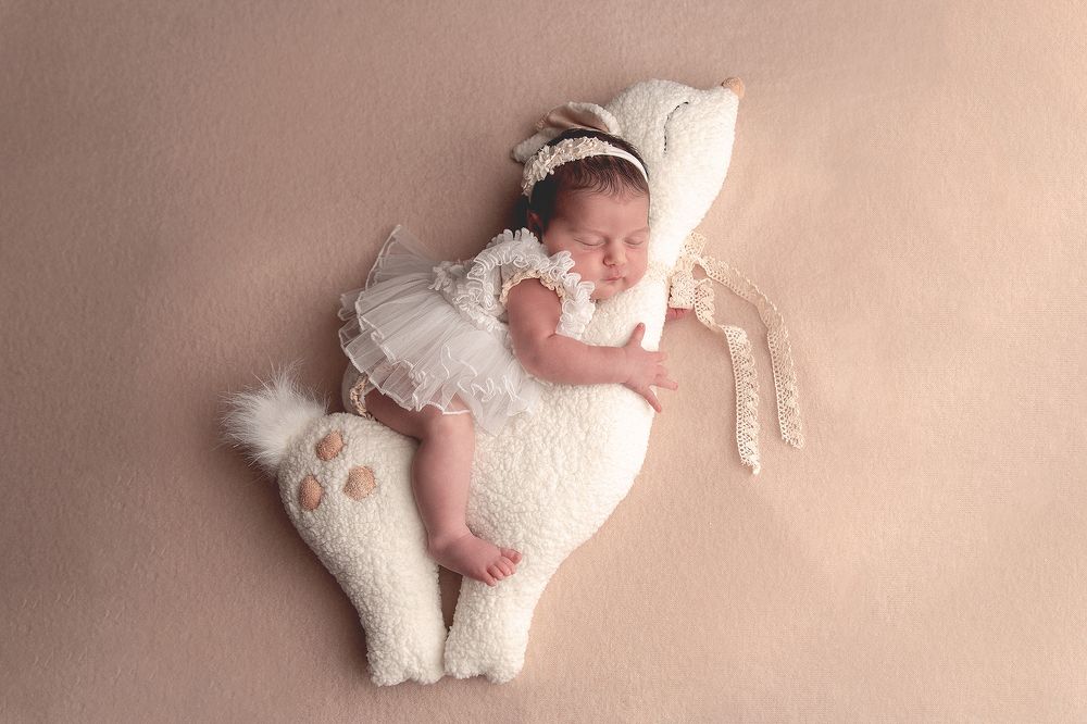 Photograph by OKSANA GIMELFARB