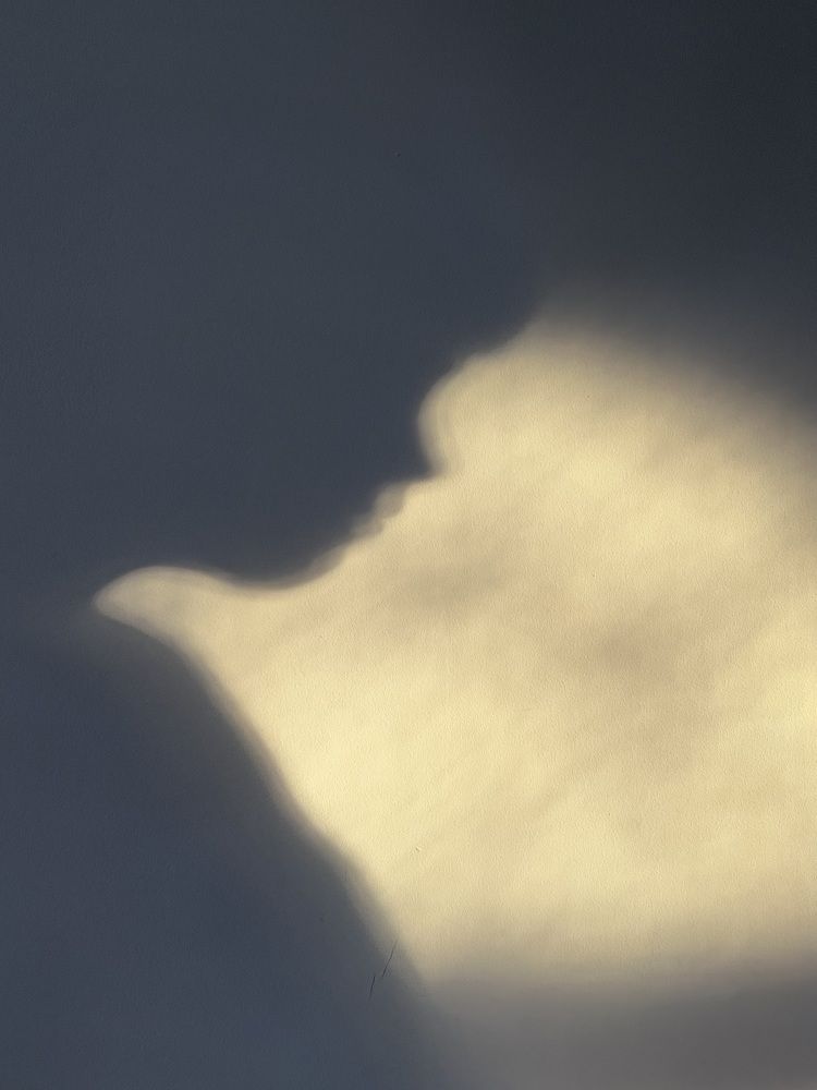 Фотография автора Olga Kichkaila