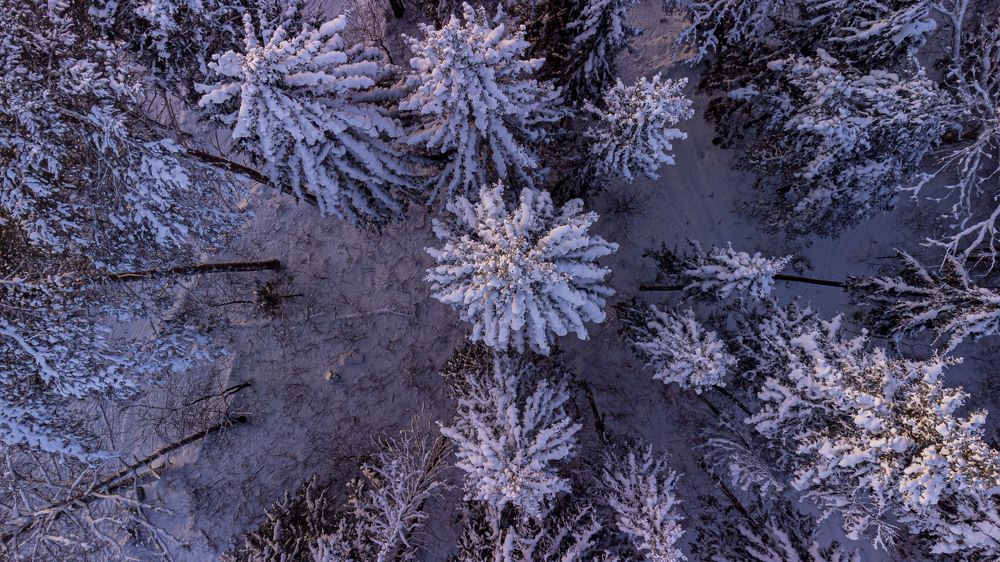 Photograph by Игорь Скорняков