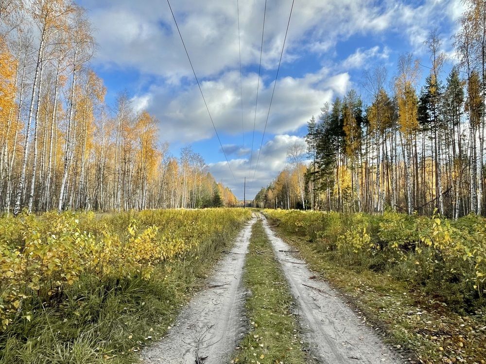 Photograph by Екатерина Шилкина