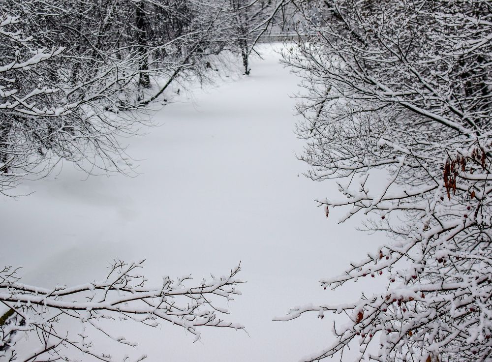 Фотография автора Альбина Хвастунова