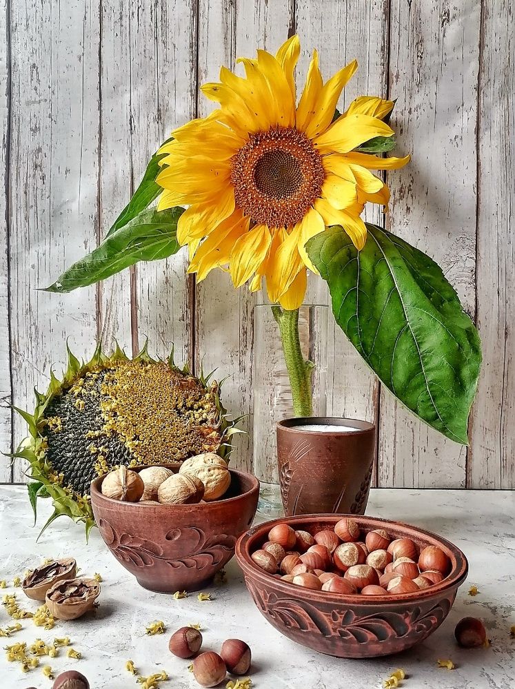 Солнце в дождливый денек сентября