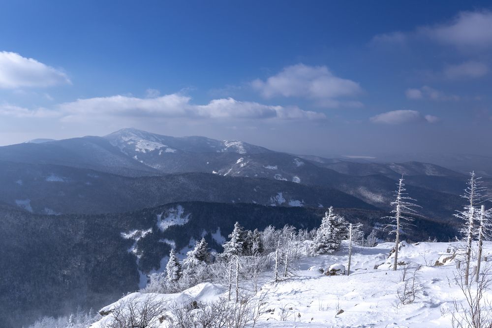 Photograph by ALEKSANDR KUZNETSOV