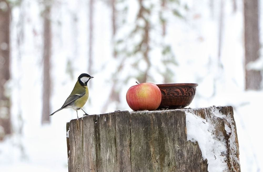 Любопытно, что там у вас?