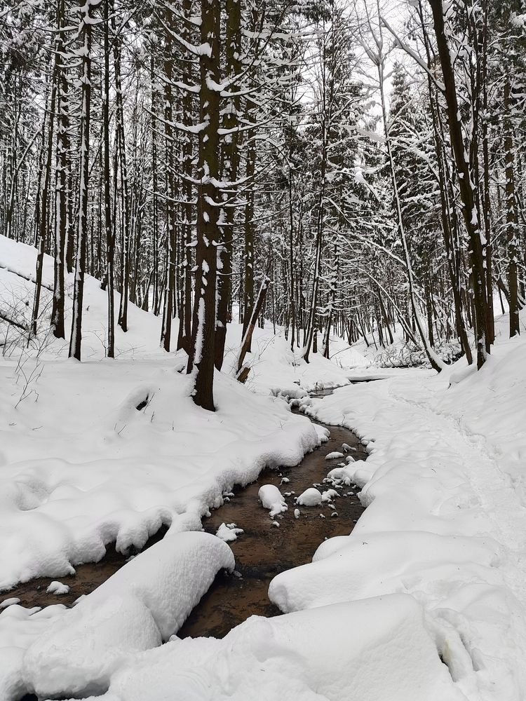 Photograph by Екатерина Борисовна Кузьмина