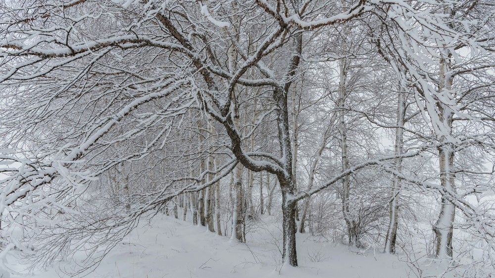 Photograph by константин