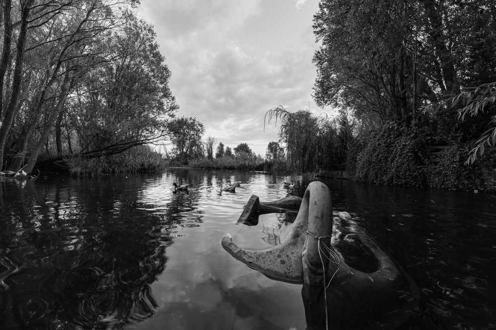 Photograph by shakil shakil