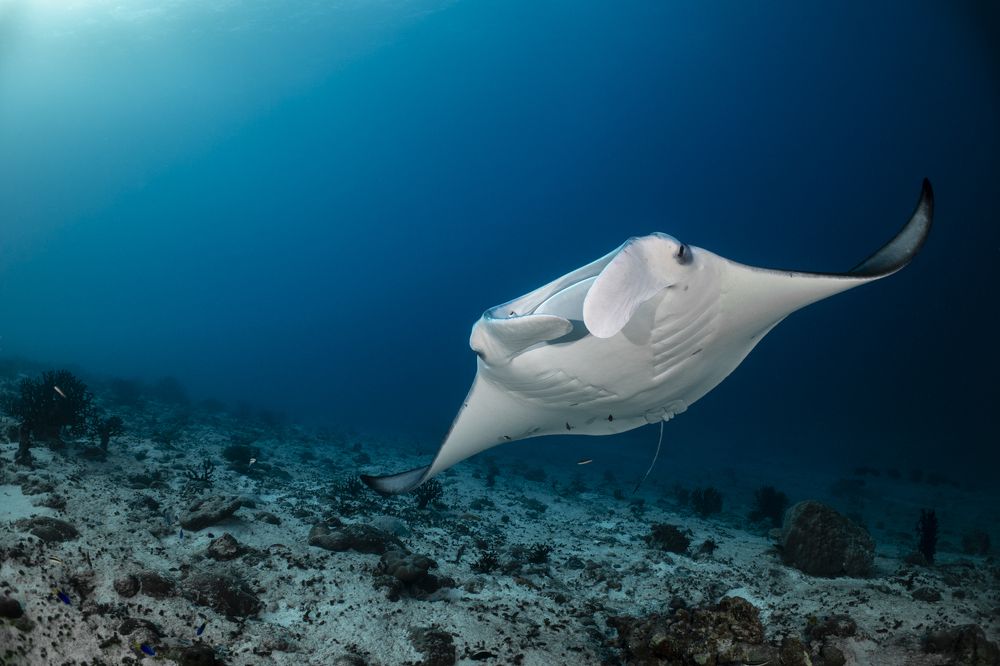 Фотография автора Fabi Fregonesi