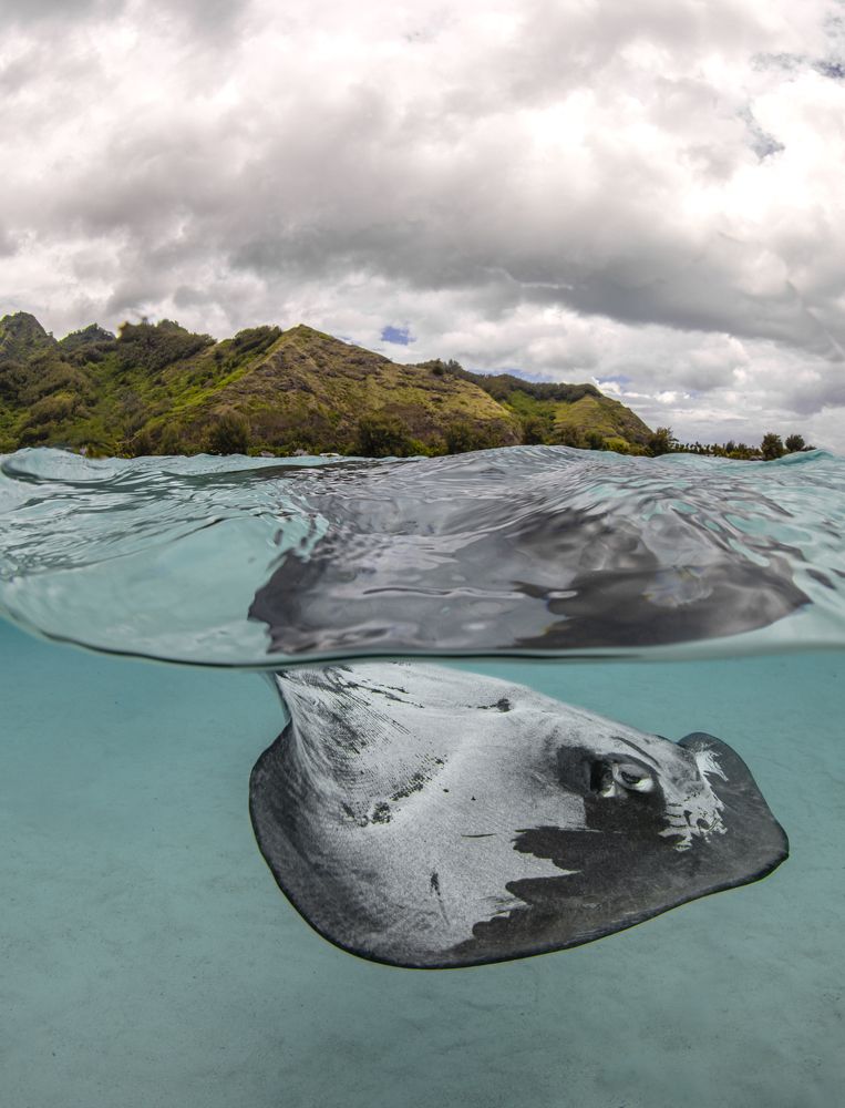 Фотография автора Fabi Fregonesi