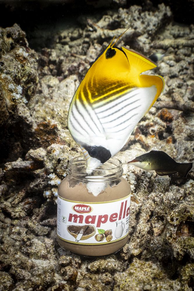 Фотография автора Fabi Fregonesi