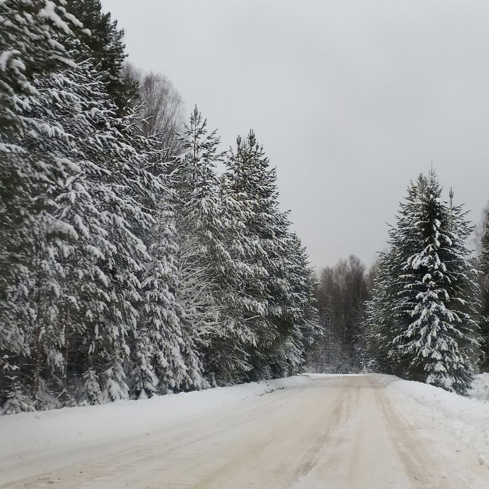 Photograph by Светлана Семенова