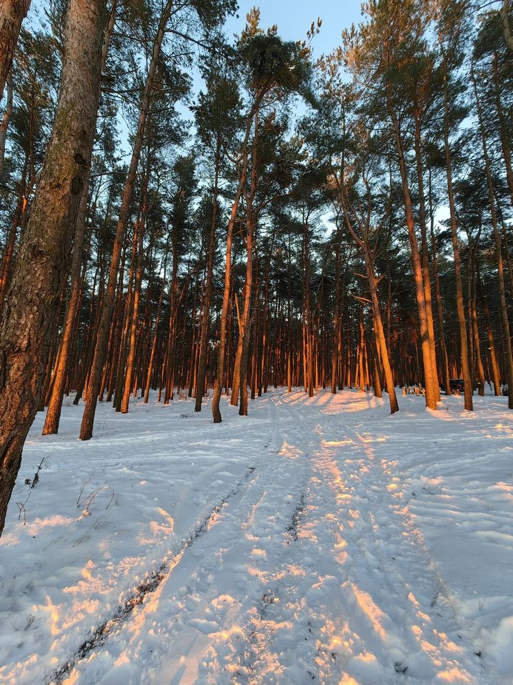 Photograph by Елизавета Лай