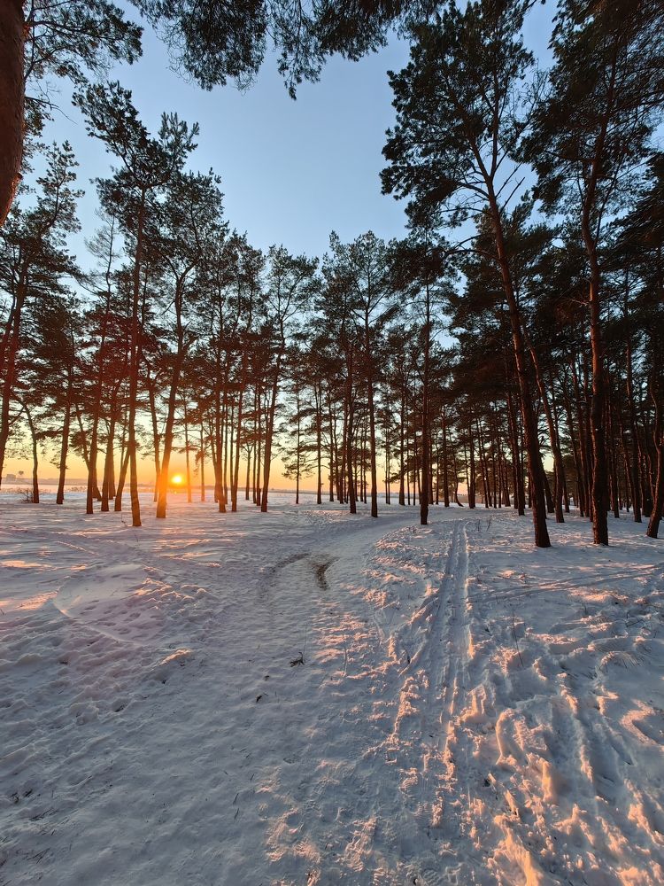 Photograph by Елизавета Лай