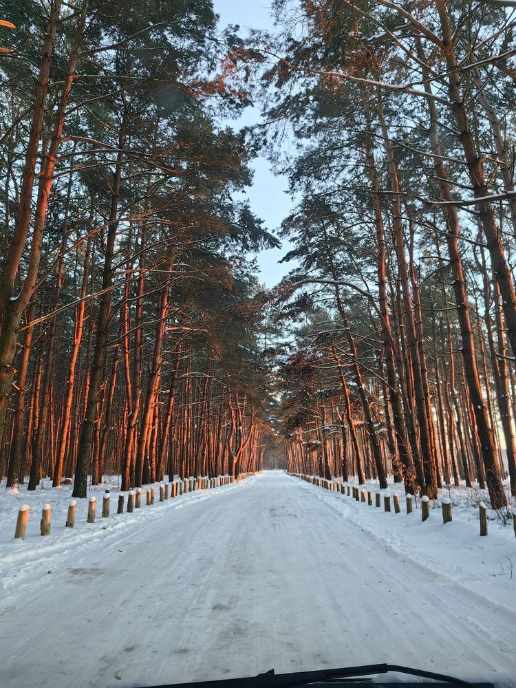 Photograph by Елизавета Лай