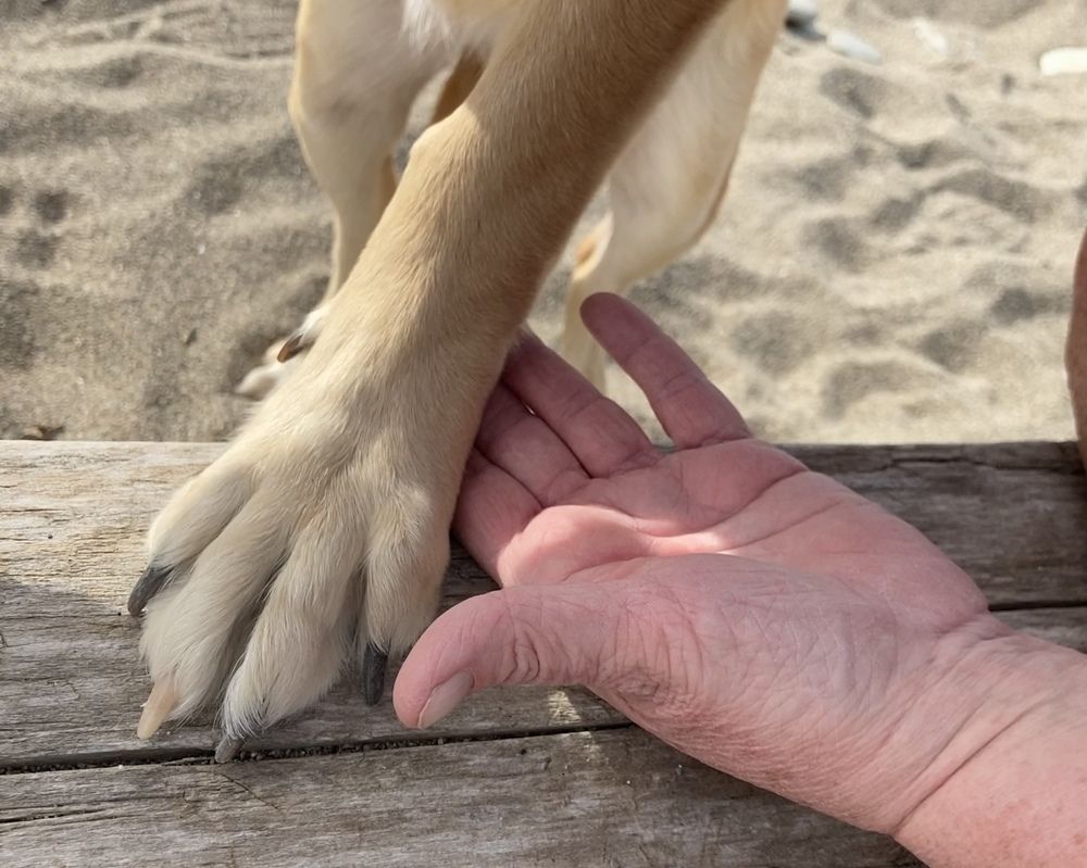 You’re My Best Friend