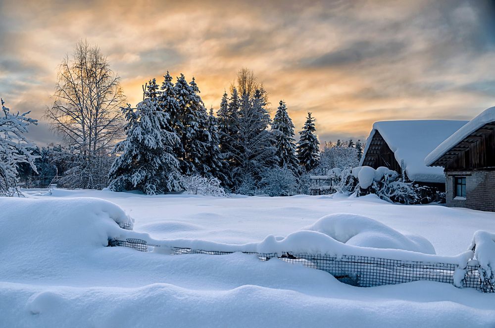 Фотография автора Ольга Егунова