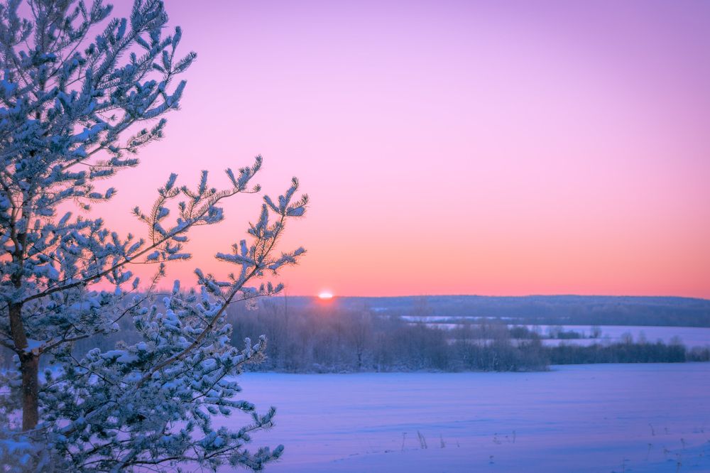 Photograph by Елена Ефимова