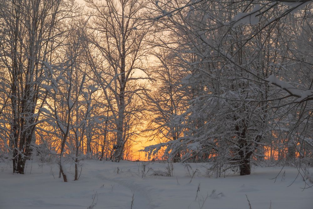 Photograph by Сергей Зимин