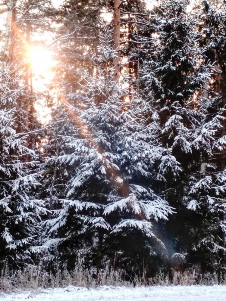 Photograph by Ведерникова Анна Андреевна