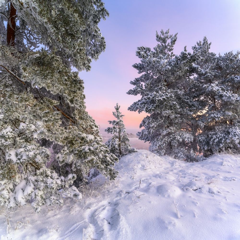 Photograph by Roman Dmitriev