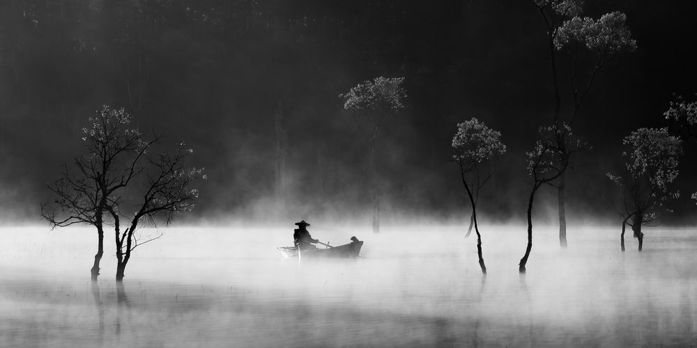 Photograph by Bao Nguyen