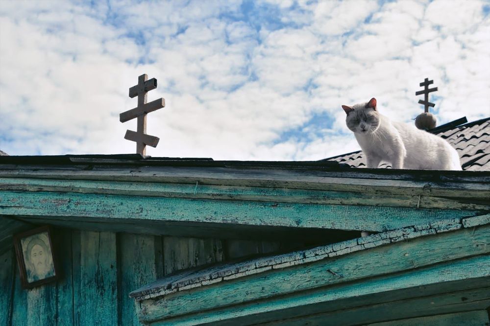 Photograph by Сухинина Ирина