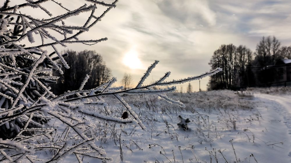 Photo #10096981