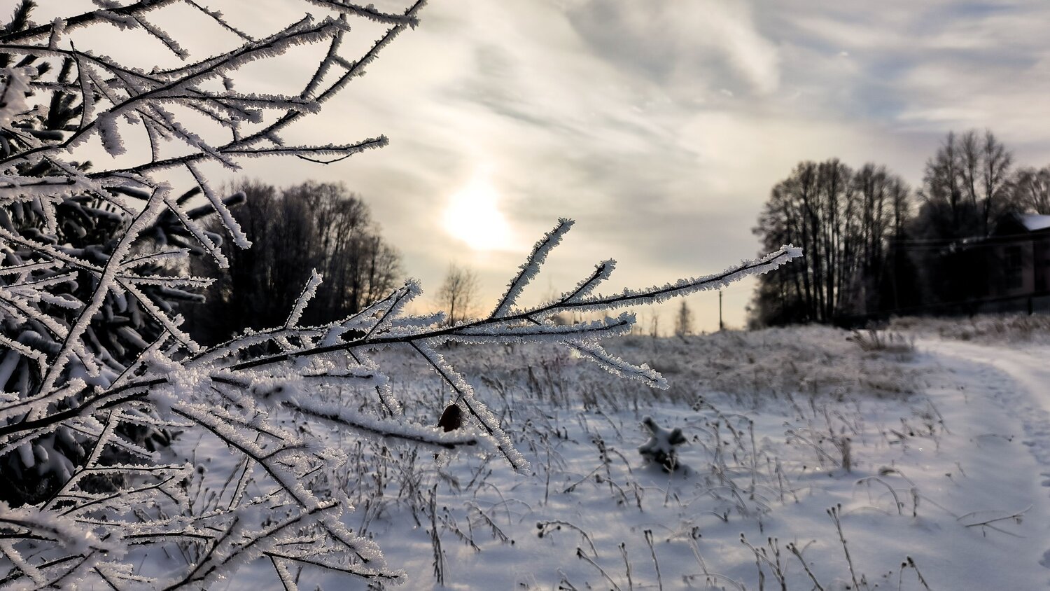 Photo #10096981