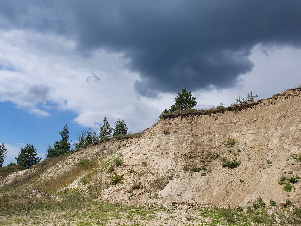 Фотография автора Надежда Лисицына