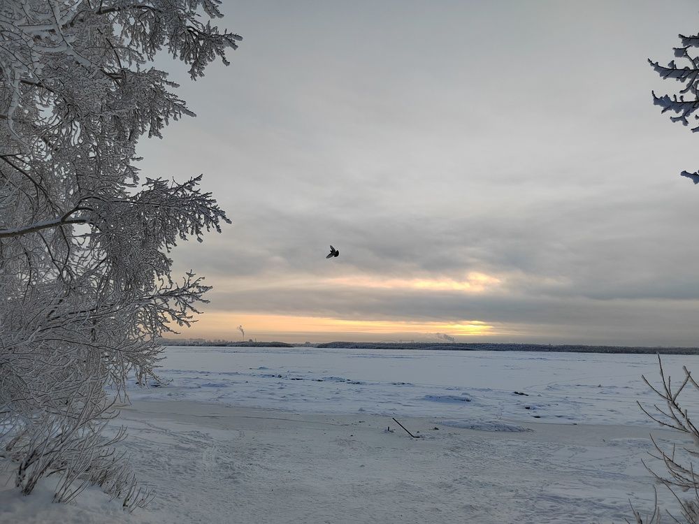 Photograph by Наталья Горовых