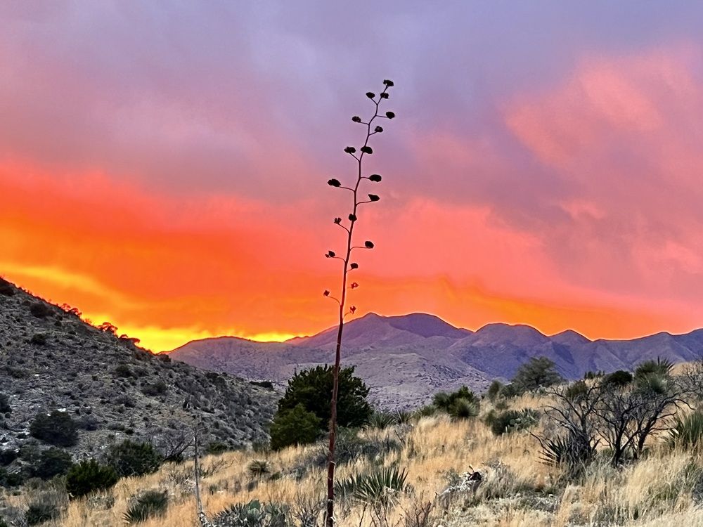 Photograph by Nataliia Diamond