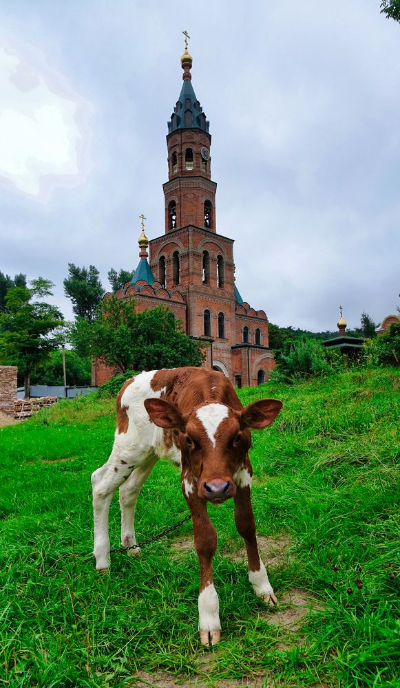 Photograph by Павел Кузьмин
