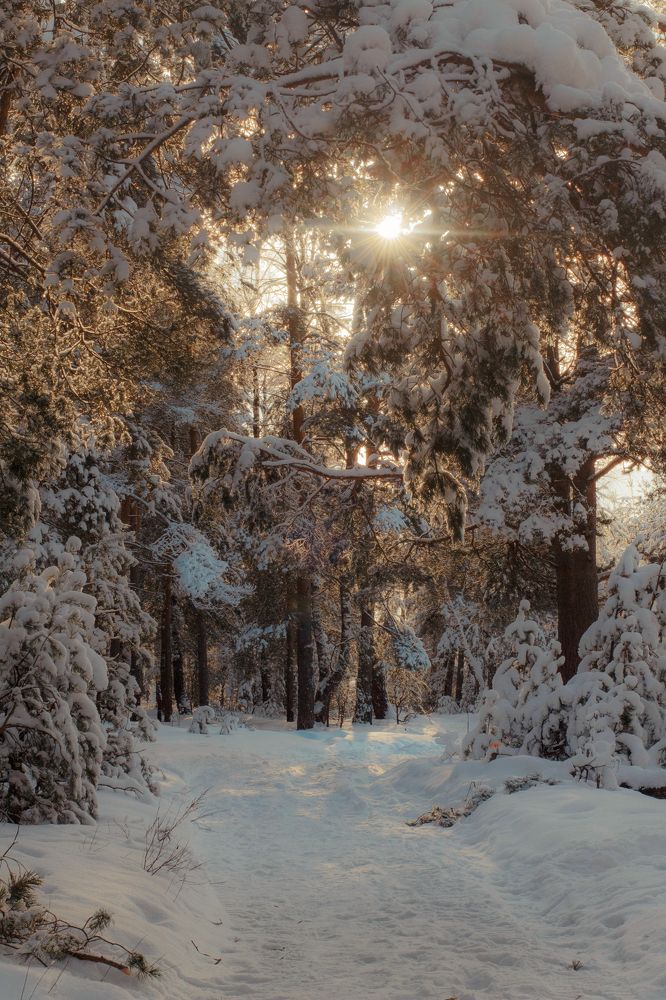 Photograph by Angelina Karelina