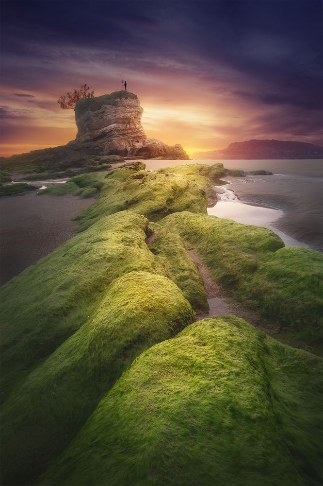 Фотография автора Andrea Bartoli