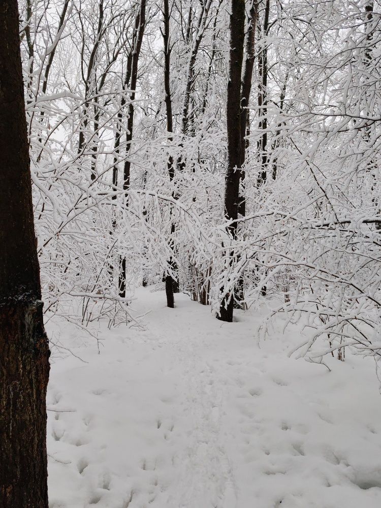 Фотография автора Кравцова Светлана