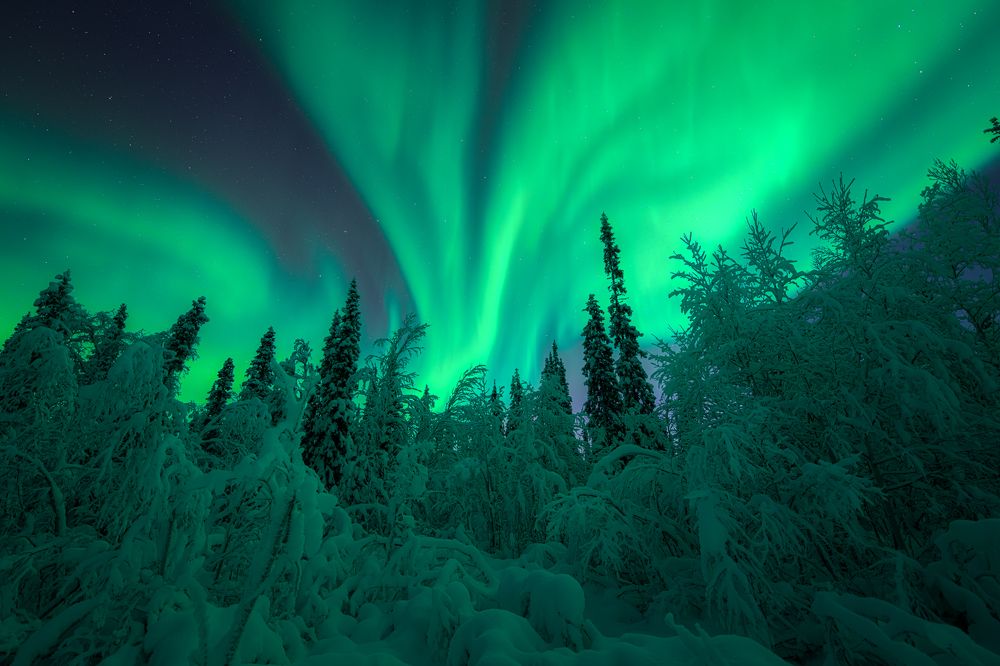 Фотография автора Kaznov Stanislav