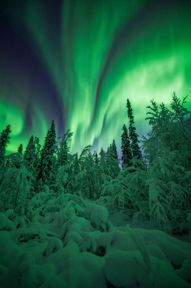 Фотография автора Kaznov Stanislav